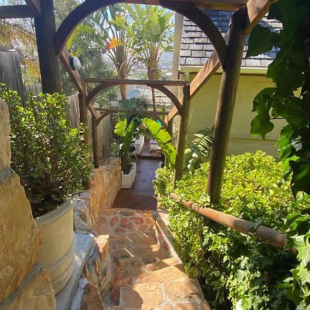 African Violet Guest Suites Noordhoek Luaran gambar