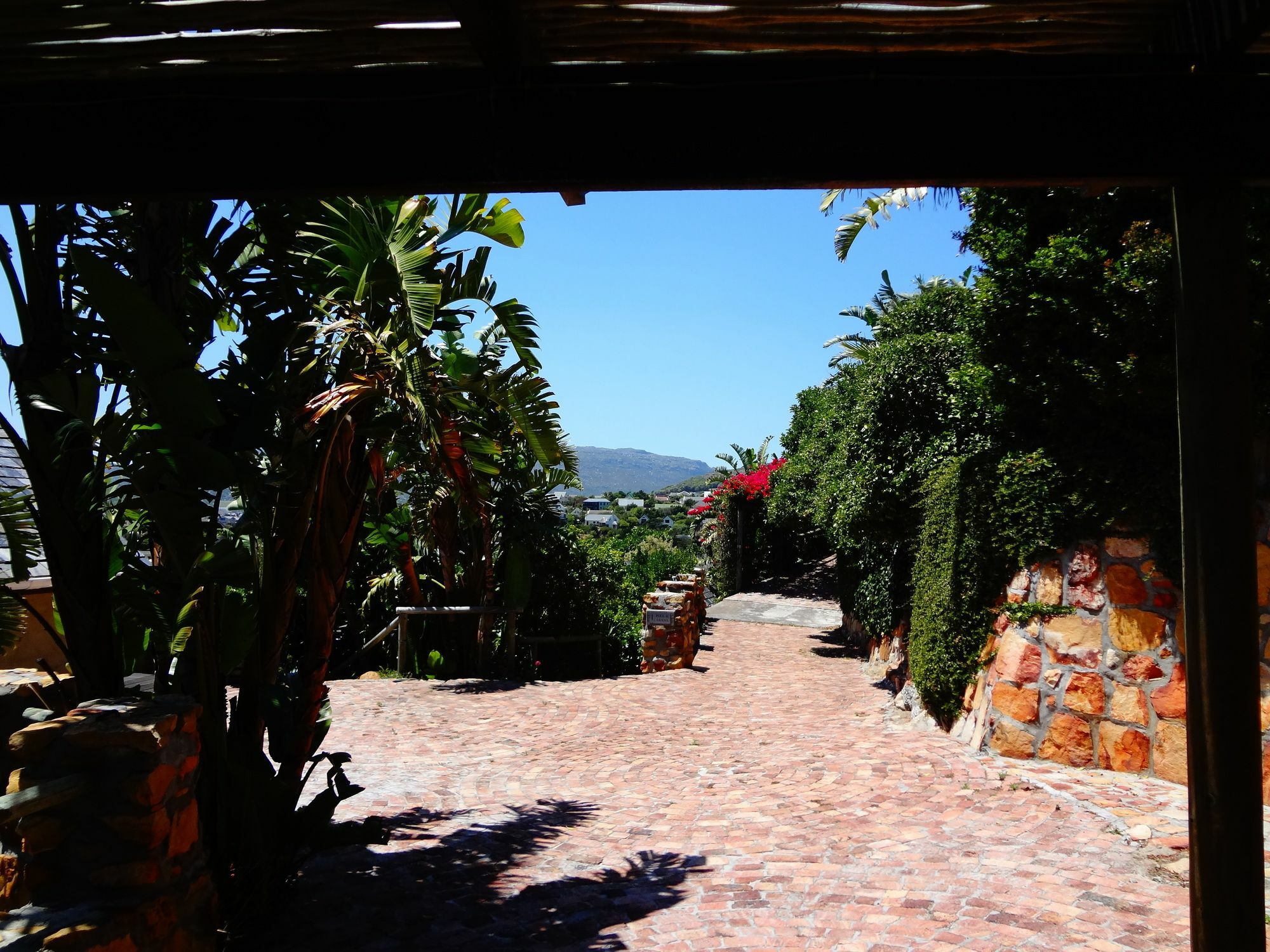 African Violet Guest Suites Noordhoek Luaran gambar